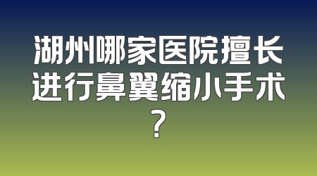 湖州哪家医院擅长进行鼻翼缩小手术？