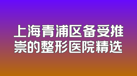 上海青浦区备受推崇的整形医院精选