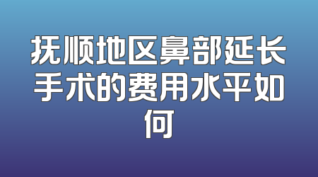 抚顺地区鼻部延长手术的费用水平如何
