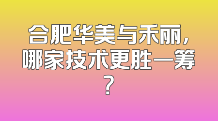 合肥华美与禾丽，哪家技术更胜一筹？