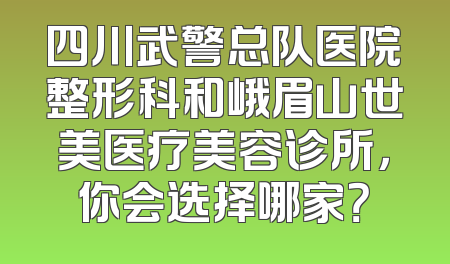 四川武警总队医院整形科和峨眉山世美医疗美容诊所，你会选择哪家？