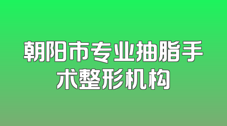 朝阳市专业抽脂手术整形机构