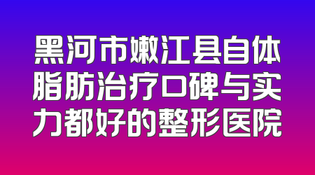 黑河市嫩江县自体脂肪治疗口碑与实力都好的整形医院