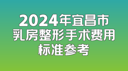 2024年宜昌市乳房整形手术费用标准参考