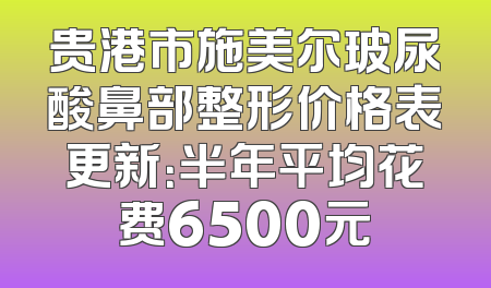 贵港市施美尔玻尿酸鼻部整形价格表更新：半年平均花费6500元