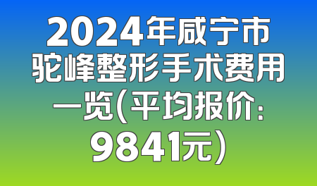 2024年咸宁市驼峰整形手术费用一览（平均报价：9841元）