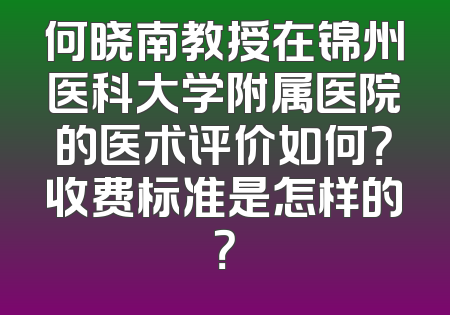 何晓南教授在锦州医科大学附属医院的医术评价如何？收费标准是怎样的？