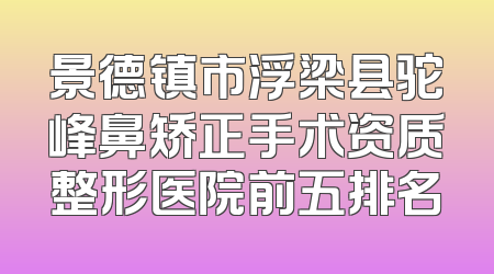 景德镇市浮梁县驼峰鼻矫正手术资质整形医院前五排名