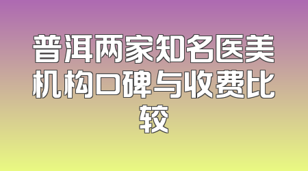 普洱两家知名医美机构口碑与收费比较