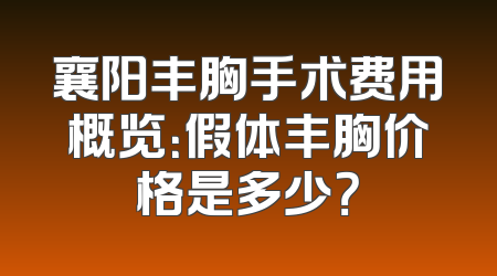 襄阳丰胸手术费用概览：假体丰胸价格是多少？