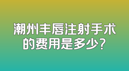 潮州丰唇注射手术的费用是多少？