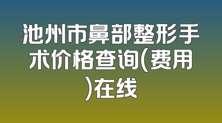 池州市鼻部整形手术价格查询(费用)在线