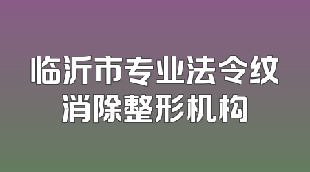 临沂市专业法令纹消除整形机构