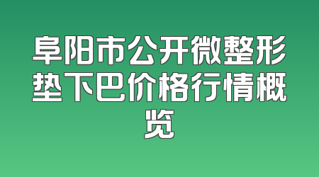 阜阳市公开微整形垫下巴价格行情概览