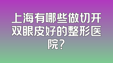 上海有哪些做切开双眼皮好的整形医院？