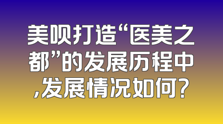 美呗打造“医美之都”的发展历程中，发展情况如何？