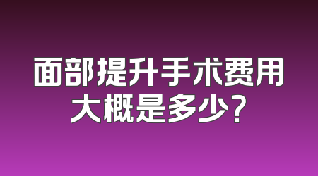 面部提升手术费用大概是多少？