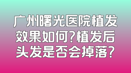 广州曙光医院植发效果如何？植发后头发是否会掉落？
