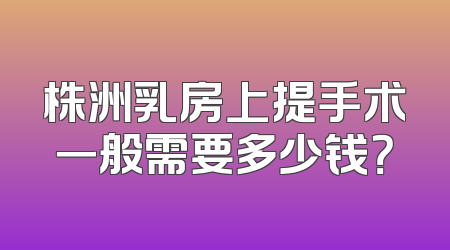 株洲乳房上提手术一般需要多少钱？