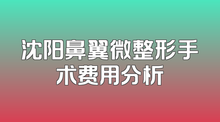 沈阳鼻翼微整形手术费用分析