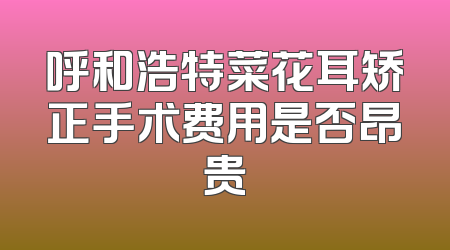 呼和浩特菜花耳矫正手术费用是否昂贵