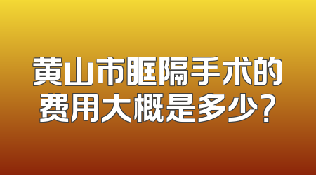 黄山市眶隔手术的费用大概是多少？