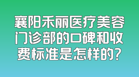 襄阳禾丽医疗美容门诊部的口碑和收费标准是怎样的？