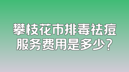 攀枝花市排毒祛痘服务费用是多少？
