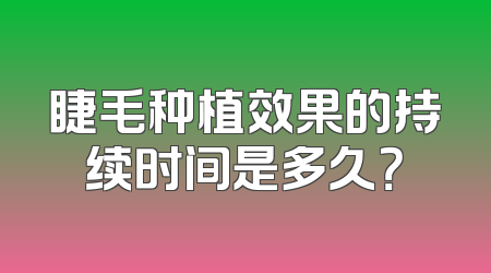 睫毛种植效果的持续时间是多久？