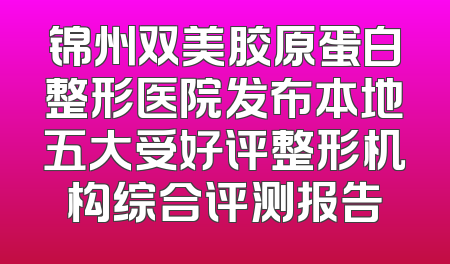 锦州双美胶原蛋白整形医院发布本地五大受好评整形机构综合评测报告