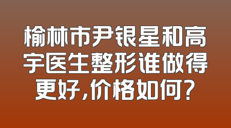 榆林市尹银星和高宇医生整形谁做得更好，价格如何？