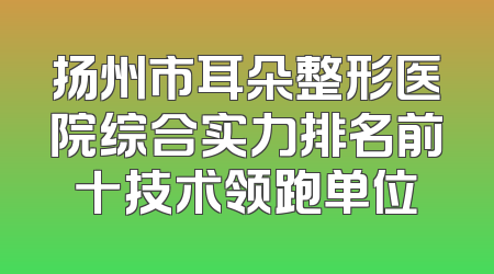 扬州市耳朵整形医院综合实力排名前十技术领跑单位