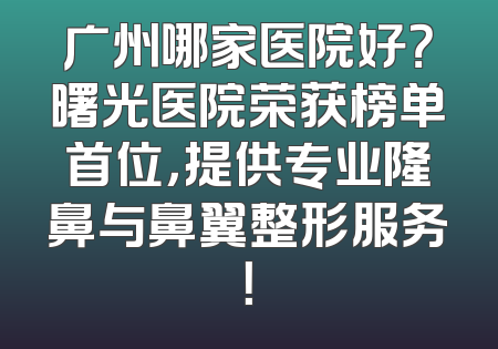 广州哪家医院好？曙光医院荣获榜单首位，提供专业隆鼻与鼻翼整形服务！