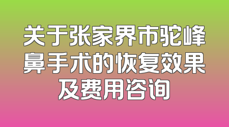 关于张家界市驼峰鼻手术的恢复效果及费用咨询