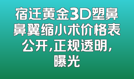 宿迁黄金3D塑鼻鼻翼缩小术价格表公开，正规透明，曝光