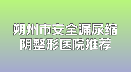朔州市安全漏尿缩阴整形医院推荐
