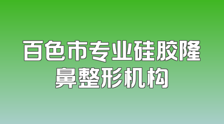 百色市专业硅胶隆鼻整形机构