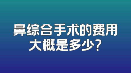 鼻综合手术的费用大概是多少？