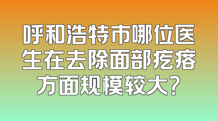 呼和浩特市哪位医生在去除面部疙瘩方面规模较大？