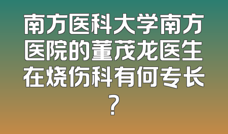 南方医科大学南方医院的董茂龙医生在烧伤科有何专长？