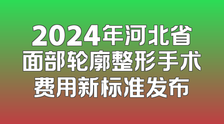 2024年河北省面部轮廓整形手术费用新标准发布