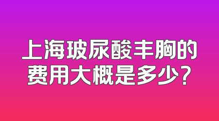 上海玻尿酸丰胸的费用大概是多少？
