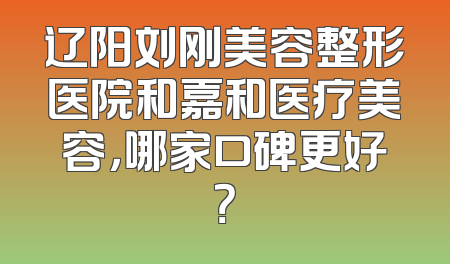 辽阳刘刚美容整形医院和嘉和医疗美容，哪家口碑更好？