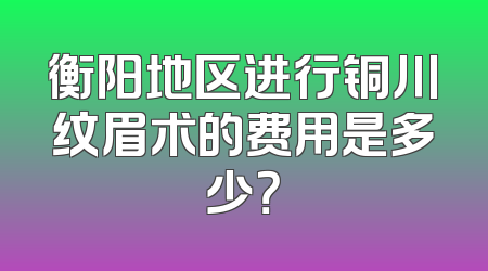 衡阳地区进行铜川纹眉术的费用是多少？
