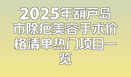 2025年葫芦岛市除疤美容手术价格清单热门项目一览
