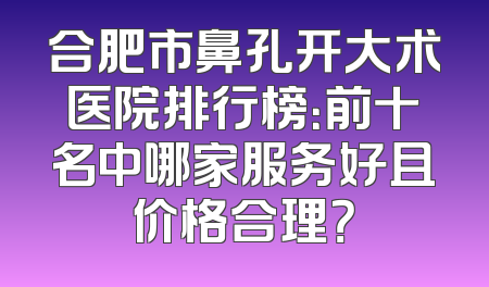 合肥市鼻孔开大术医院排行榜：前十名中哪家服务好且价格合理？