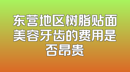 东营地区树脂贴面美容牙齿的费用是否昂贵