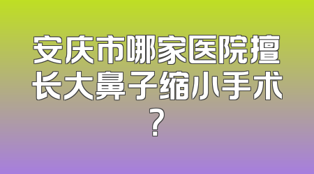 安庆市哪家医院擅长大鼻子缩小手术？