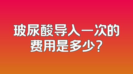 玻尿酸导入一次的费用是多少？