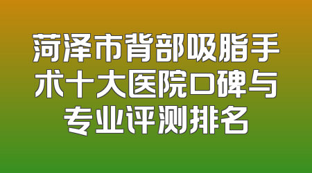 菏泽市背部吸脂手术十大医院口碑与专业评测排名